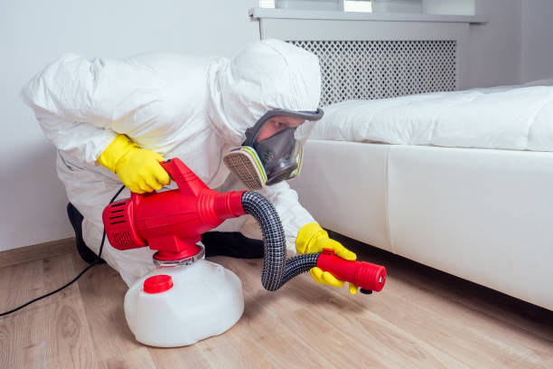 Professional Pest Control in La Plata, NM