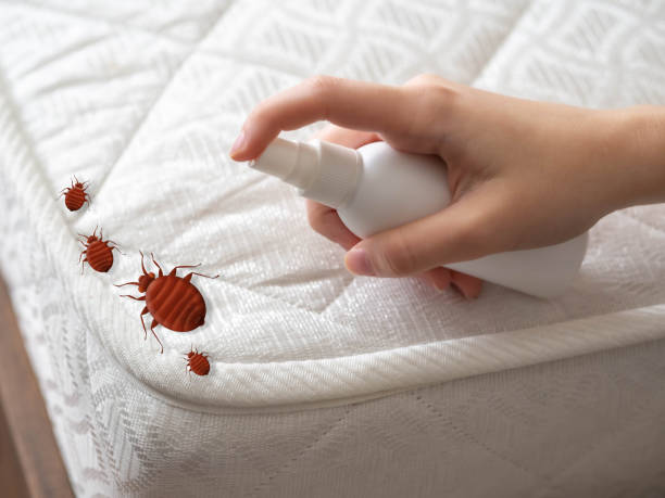 Best Pest Prevention Services  in La Plata, NM